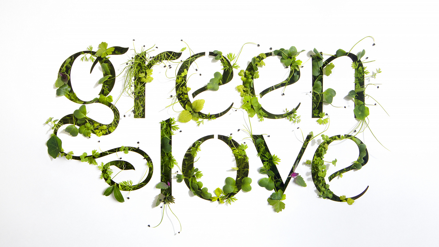 Green Love