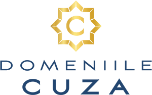 Domeniile Cuza