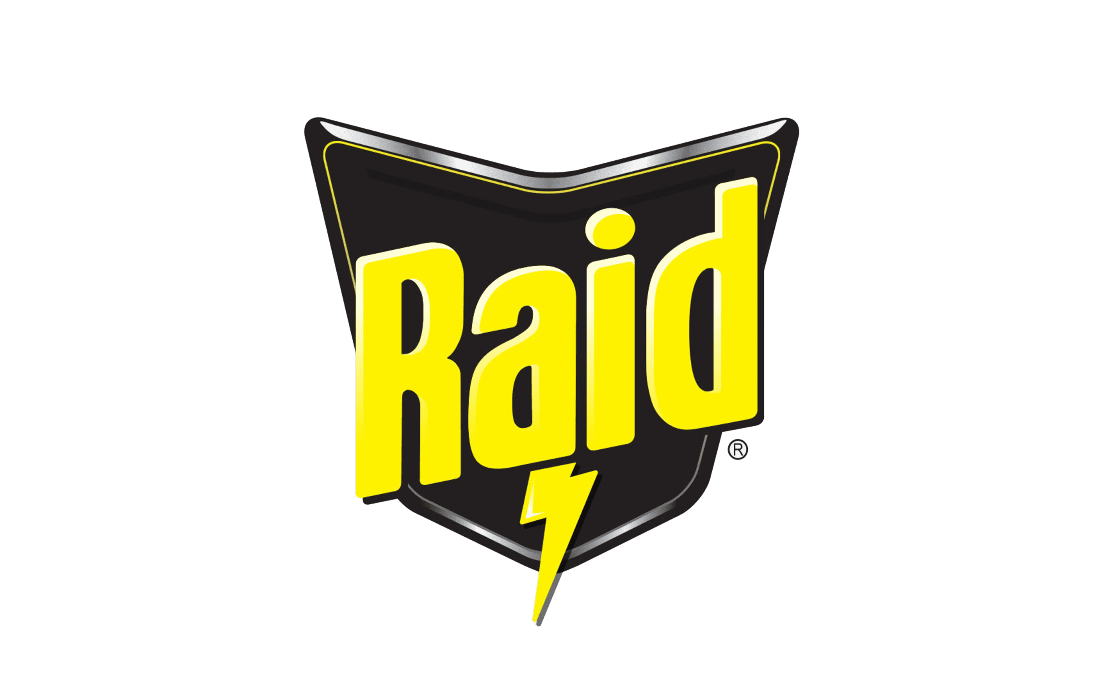 Raid