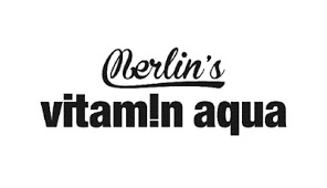 Merlin's