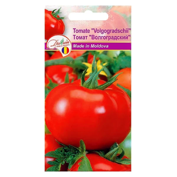 Seminte Tomate Volgogradschii 2gr - image 1