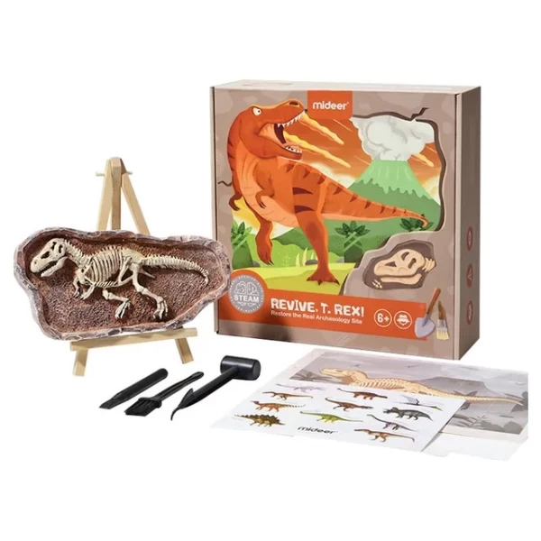 Mideer Setul micului arheolog Revelarea lui T-Rex - image 1