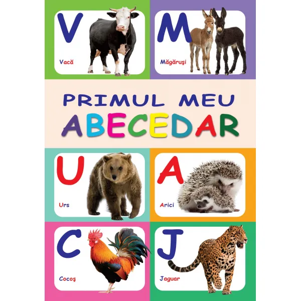 Cartea Primul meu abecedar - image 1