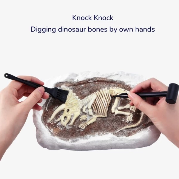 Набор юного археолога Воссоздание Трицератопса - image 2