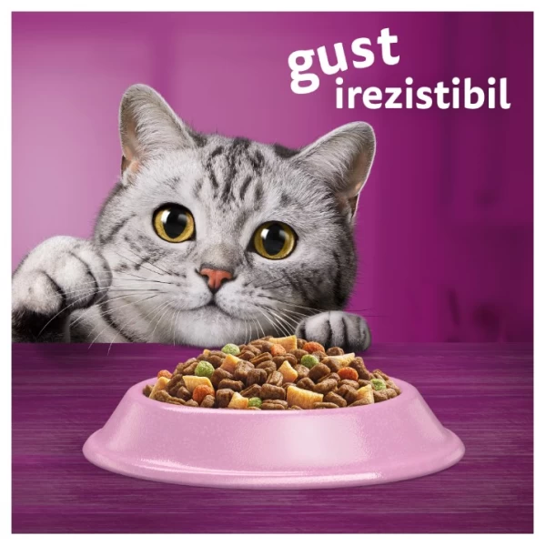 Whiskas Adult Hrana uscata Pisici Somon 1.4 kg - image 4