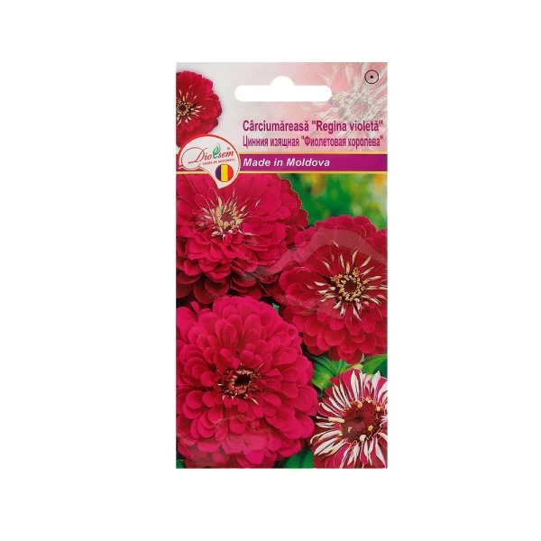 Carciumareasa Regina Violeta 5gr - image 1