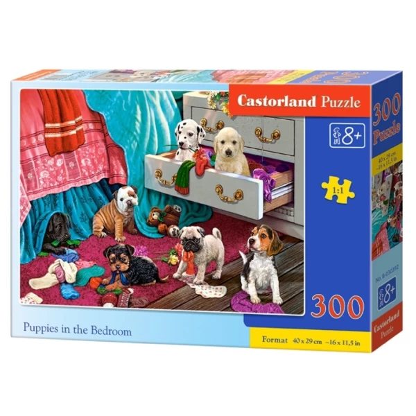 Castorland Пазл 300 элементов - image 5