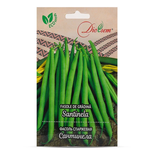 Seminte Fasole Santinela verde creion Maxi 20gr - image 1