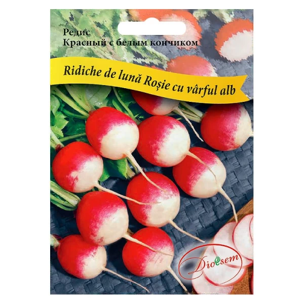 Seminte Ridiche de luna Rosie cu virful alb Maxi 20gr - image 1