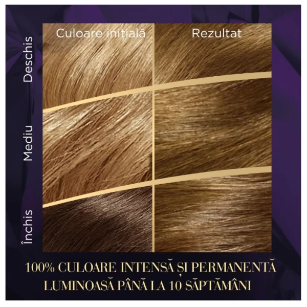 Wella Color Perfect Vopsea Blond Mediu 7/0 - image 4
