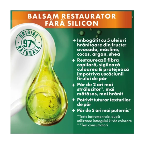 Garnier Color Naturals Vopsea de par 1.10 Negru Rece - image 4