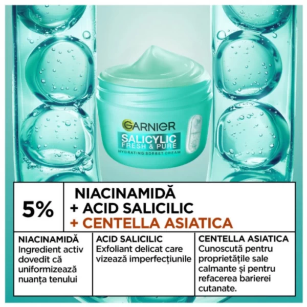 Garnier Увлажняющий крем с салициловой кислотой и сорбетом, 85 мл - image 3