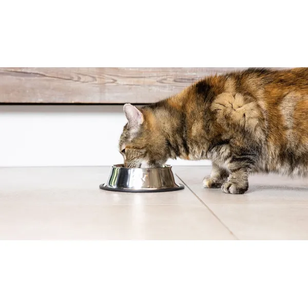 Miau Miau Conserva pentru pisici cu carne de vita 415gr - image 2