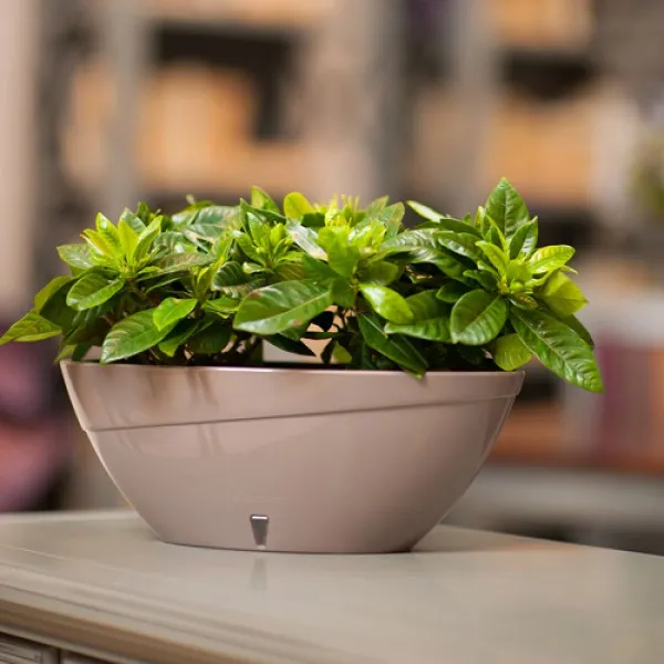 Горшок Calipso 3.3 л Оттенок-белый - image 3