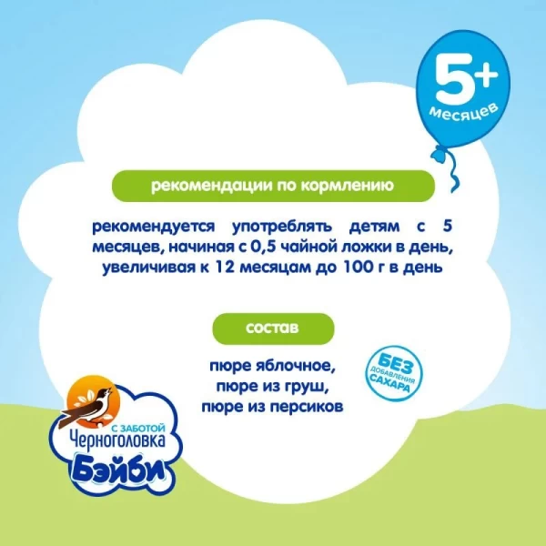 Chernogolovka Piure Salata Fructe, Mar, Para, Piersica (5 luni) 85g - image 3