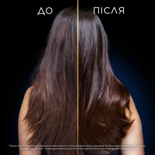 Garnier Botanic Therapy Шампунь Магнетический уголь 400 мл  - image 4