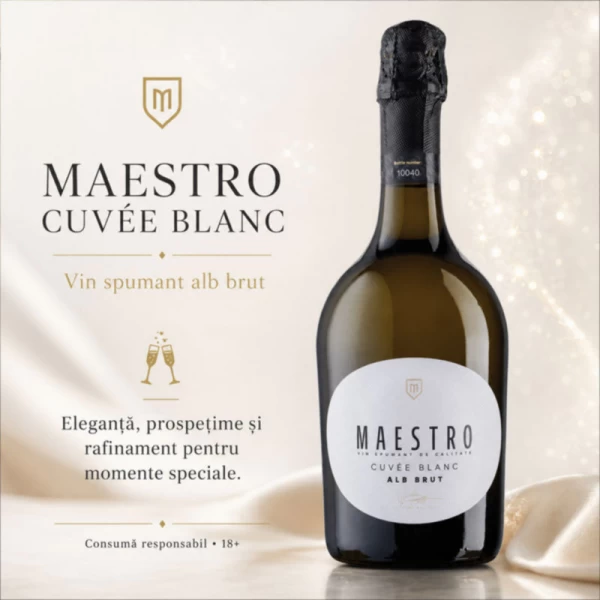 Maestro Вино игристое Cuvee Blanc белое брют 0,75л - image 2