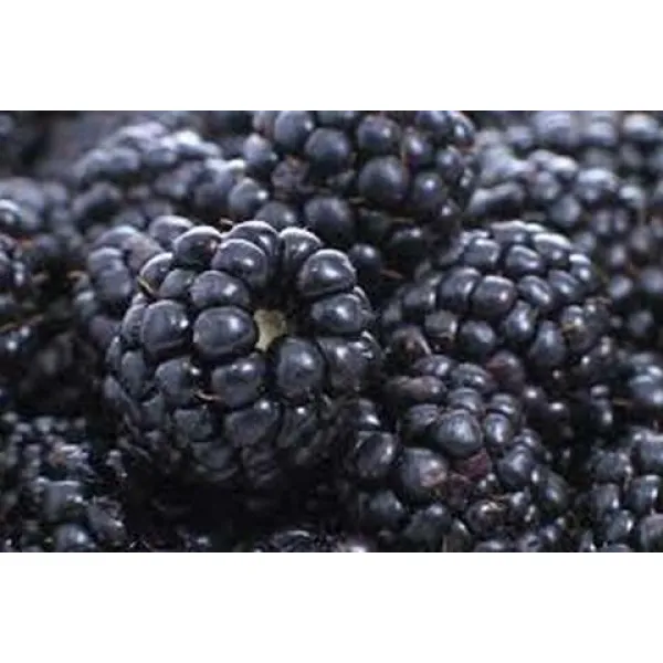 BerryMania Pastilata mure, gutui si mar 90gr - image 3