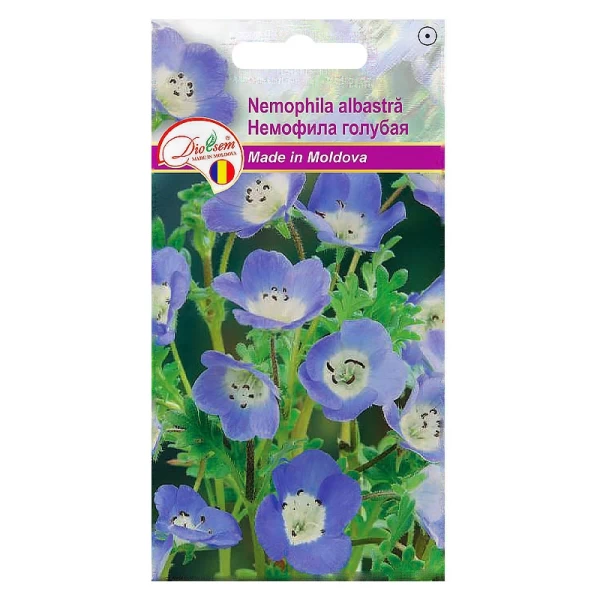 Seminte Nemophila albastra 5gr - image 1