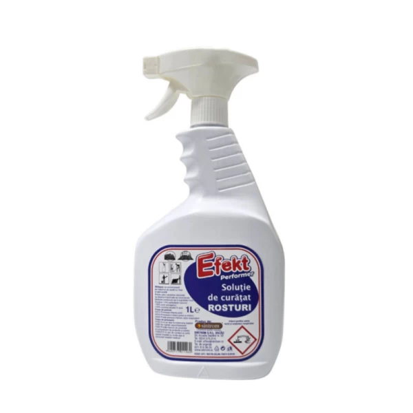 Efekt Solutia de curatat Rosturi 1 l - image 1