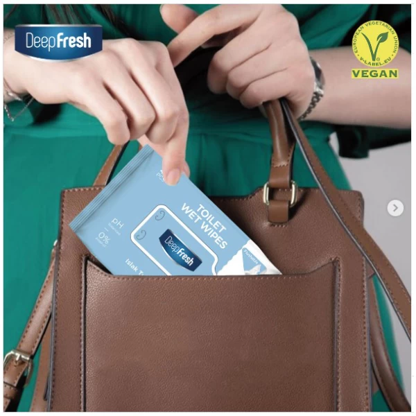 DeepFresh Влажные биоразлагаемые салфетки для туалета, 42 шт - image 2