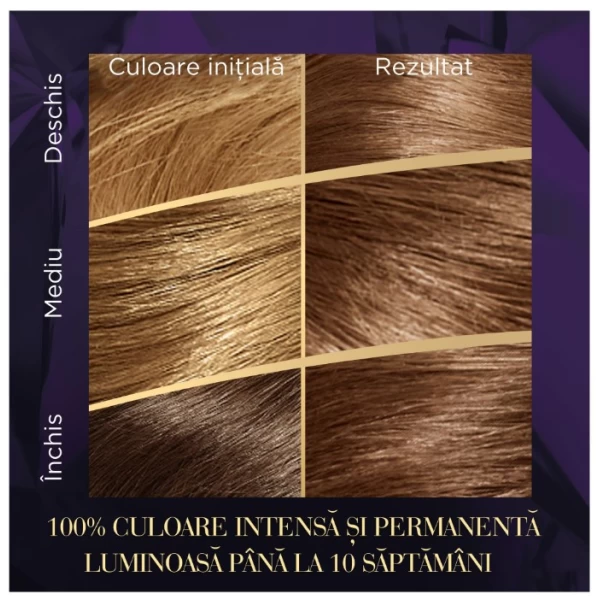 Wella Color Perfect Vopsea Ciocolata cu Caramel 6/73 - image 4