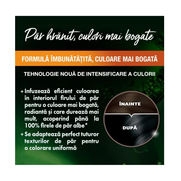 Garnier Color Naturals Vopsea de par 1.10 Negru Rece - image 3