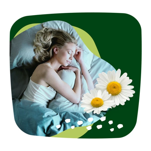 Naturella Прокладки Ultra Quatro S5 24 шт - image 3