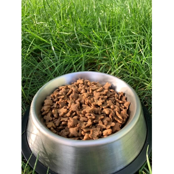 Pan Kot hrana uscata pentru pisici gaina 400g - image 2