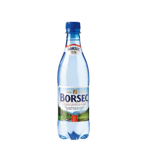 Borsec Apa minerala carbogazoasa 0,5l - image 1