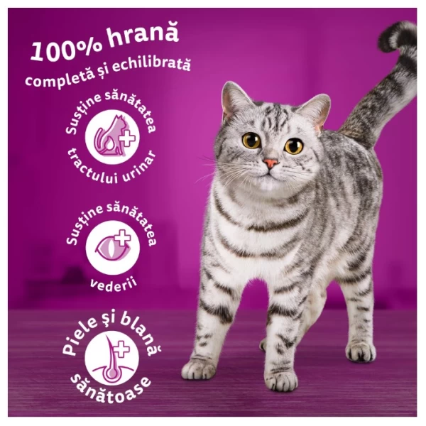 Whiskas Сухой корм для кошек стерильный 1,4 кг - image 2