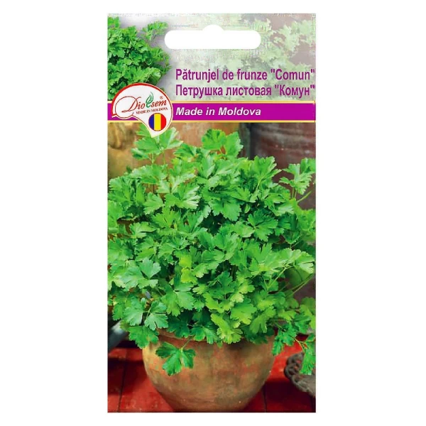 Seminte Patrunjel de frunze Comun 3gr - image 1