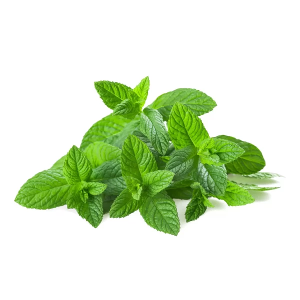 Fresh Menta 50 gr - image 2