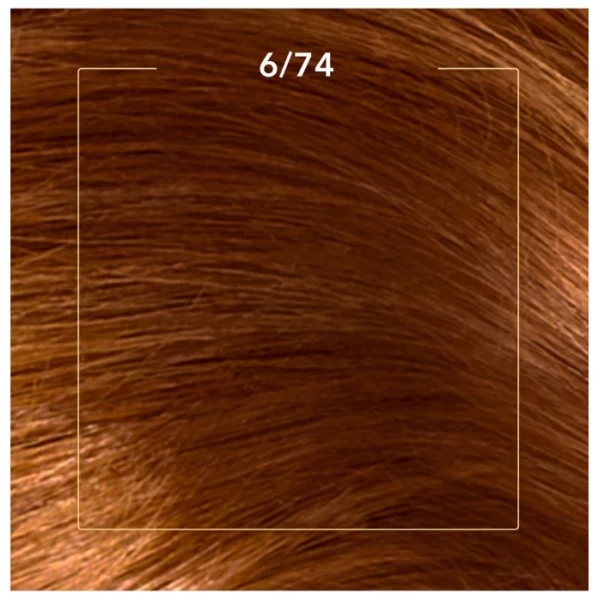 Wella Color Perfect Vopsea Blond Inchis Chihlimbar 6/74 - image 3