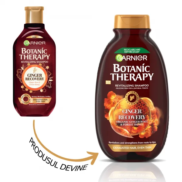 Garnier Botanic Шампунь 400мл Корень имбиря и лесной мед для тонких волос, лишенных жизненной силы - image 2