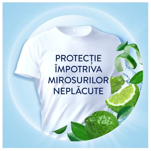 Lenor Balsam de rufe 1,491 l Fresh Meadow, 71 spalari - image 4