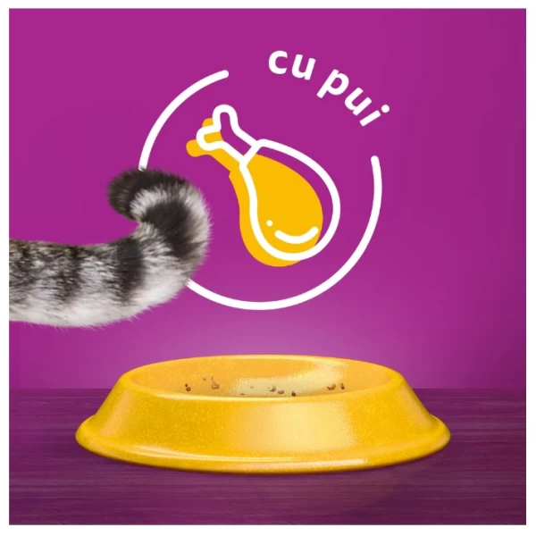 Whiskas Сухой корм для кошек стерильный 1,4 кг - image 3