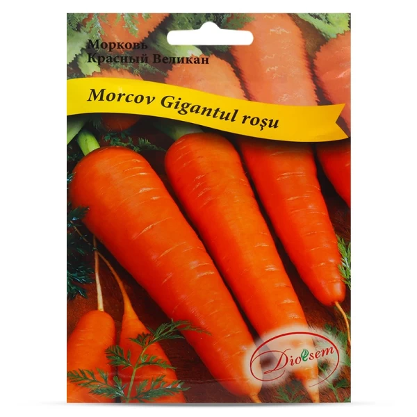 Seminte Morcov Krasnii Velican Maxi 10gr - image 1