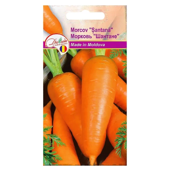 Seminte Morcov Santana 2gr - image 1