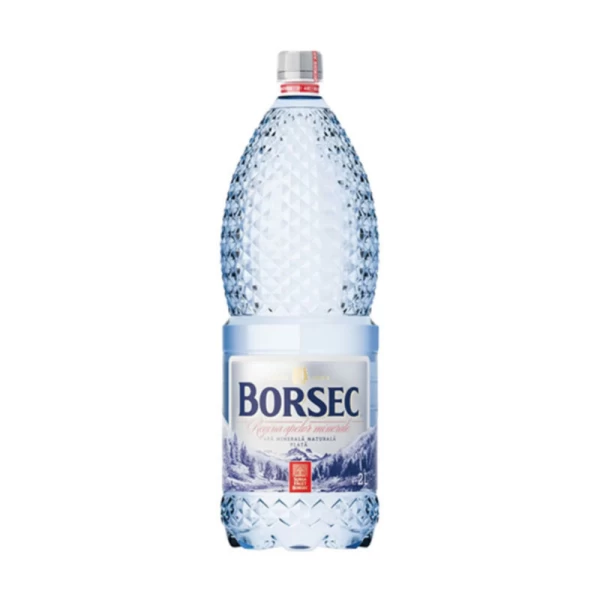 Borsec минеральная вода 2л - image 1