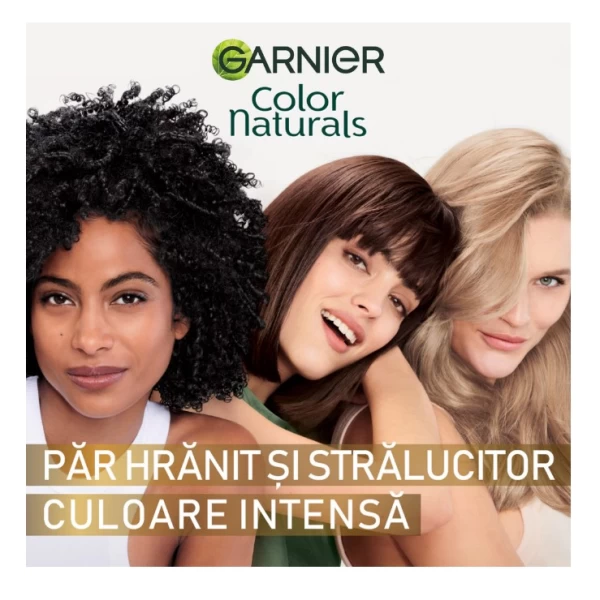 Garnier Color Naturals Vopsea de par 1.10 Negru Rece - image 6