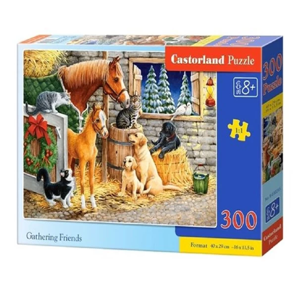Castorland Пазл 300 элементов - image 1