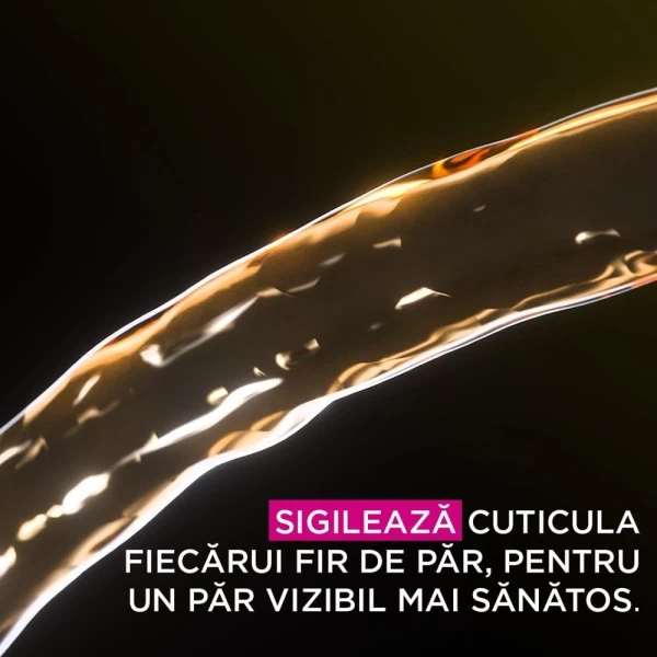 Garnier Olia Vopsea de par permanenta fara amoniac 3.0 Saten Inchis - image 8