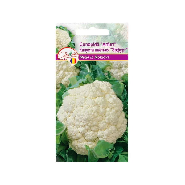 Conopida Arfurt 5gr - image 1