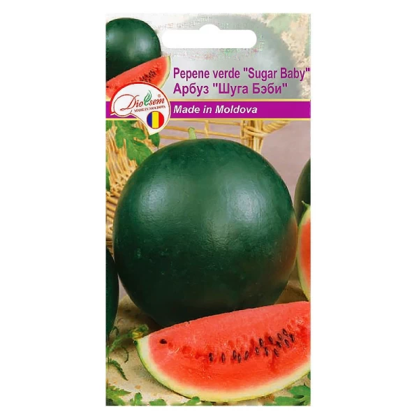 Seminte Pepene verde Sugar Baby 1gr - image 1
