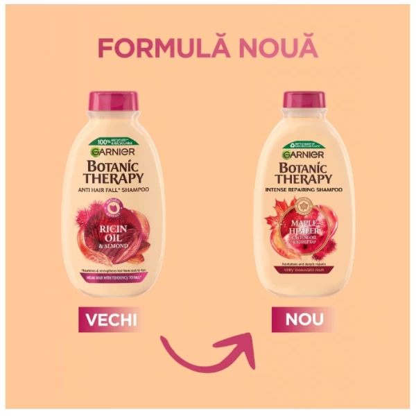 Garnier Botanic Sampon 250ml Ricin Oil & Almond - image 2