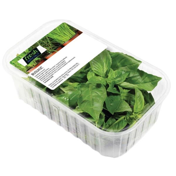 Fresh Busuioc 50 gr - image 1