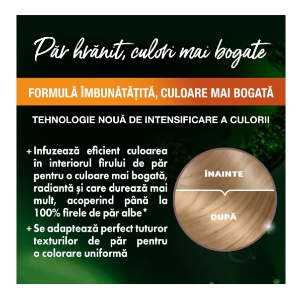 Garnier Color Naturals Vopsea de par 8.13 Blond Bej Deschis - image 3