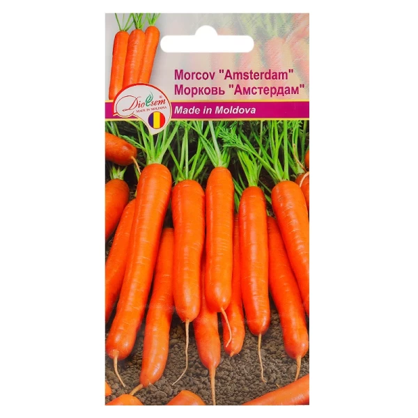 Seminte Morcov Amsterdam 1.5gr - image 1