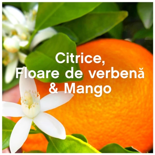 Lenor Balsam de rufe 1.2 l Fragrance Therapy Orange & Verbena, 48 spalari - image 5